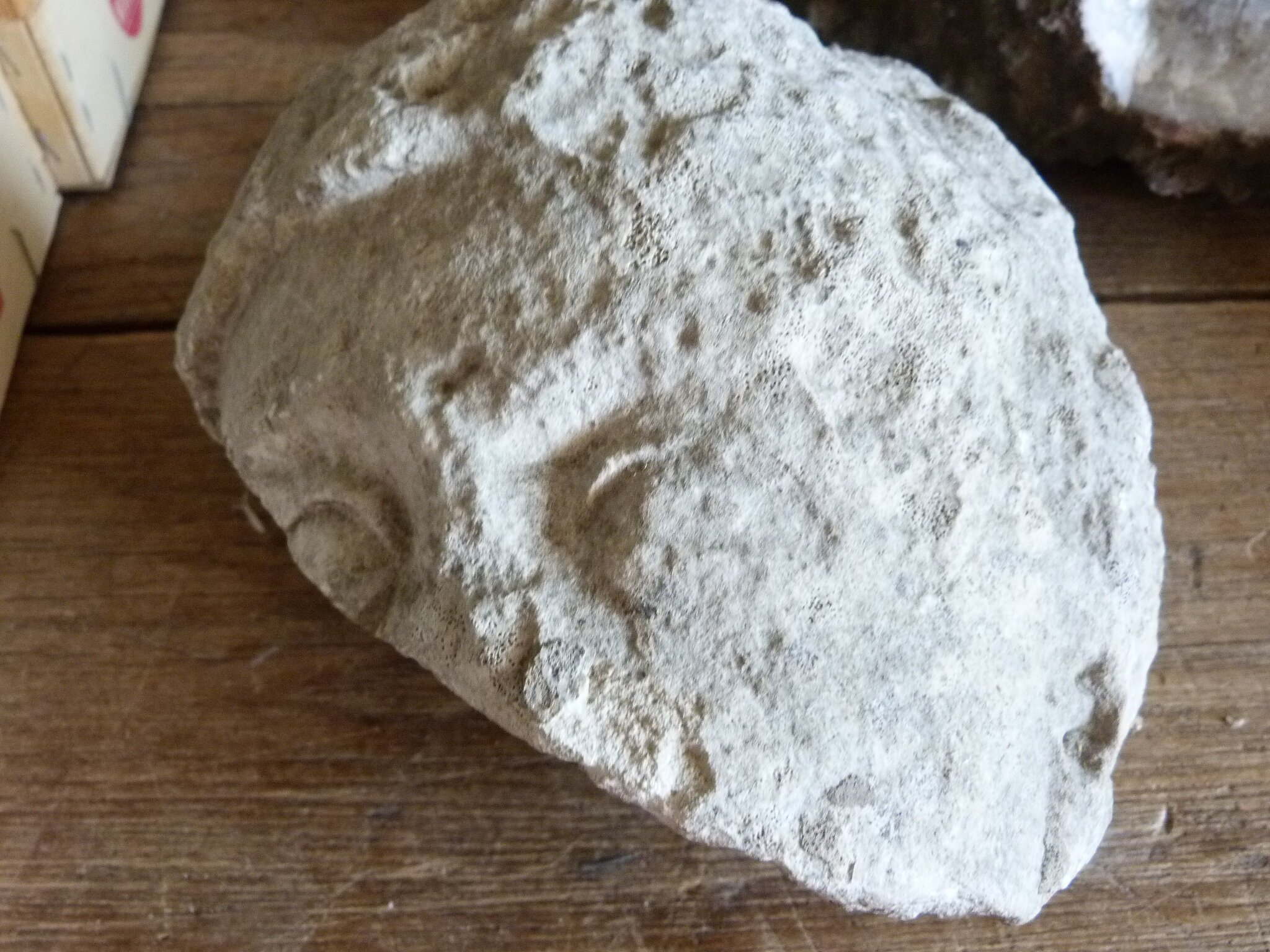 Lot 380