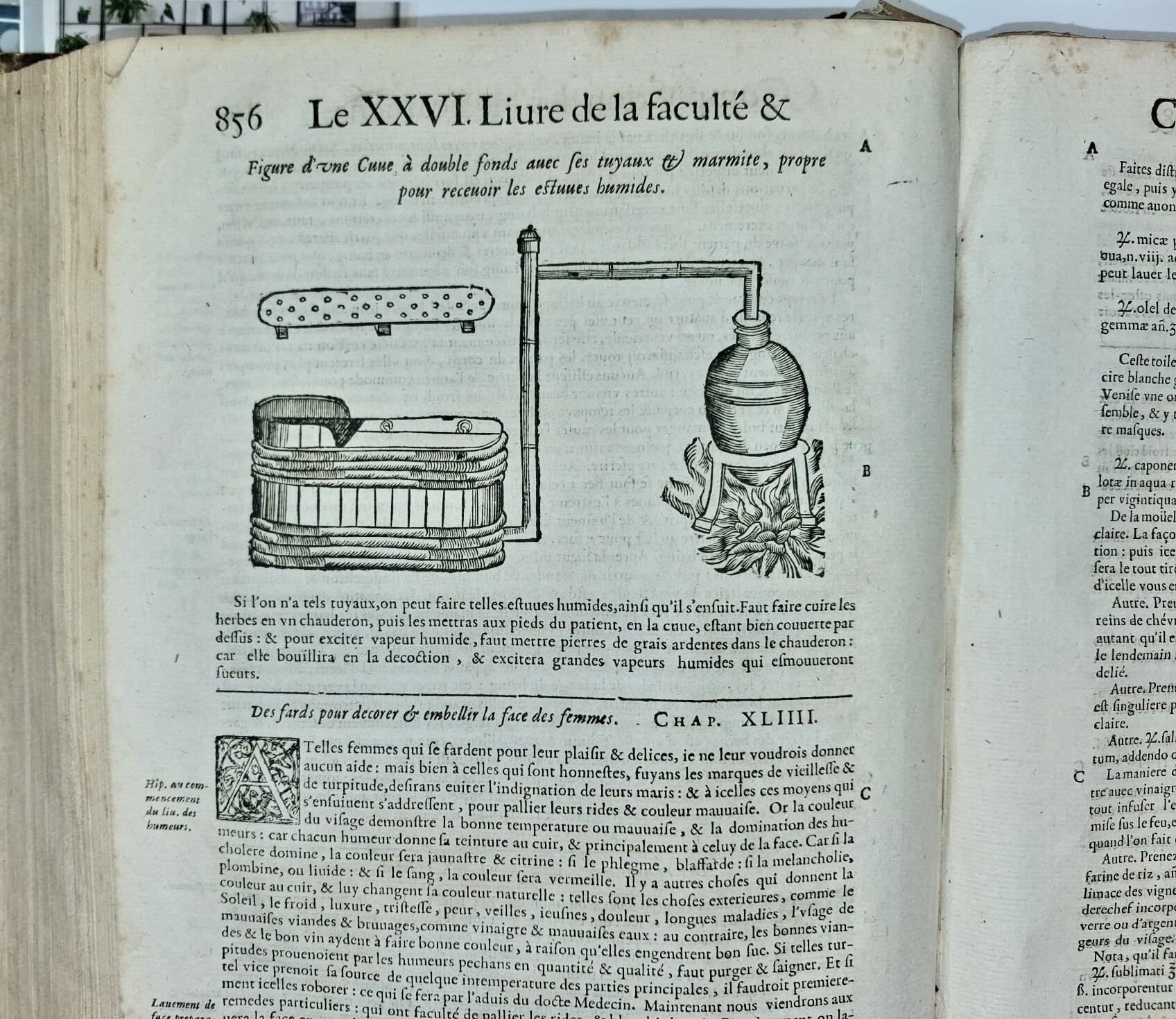 Lot 215