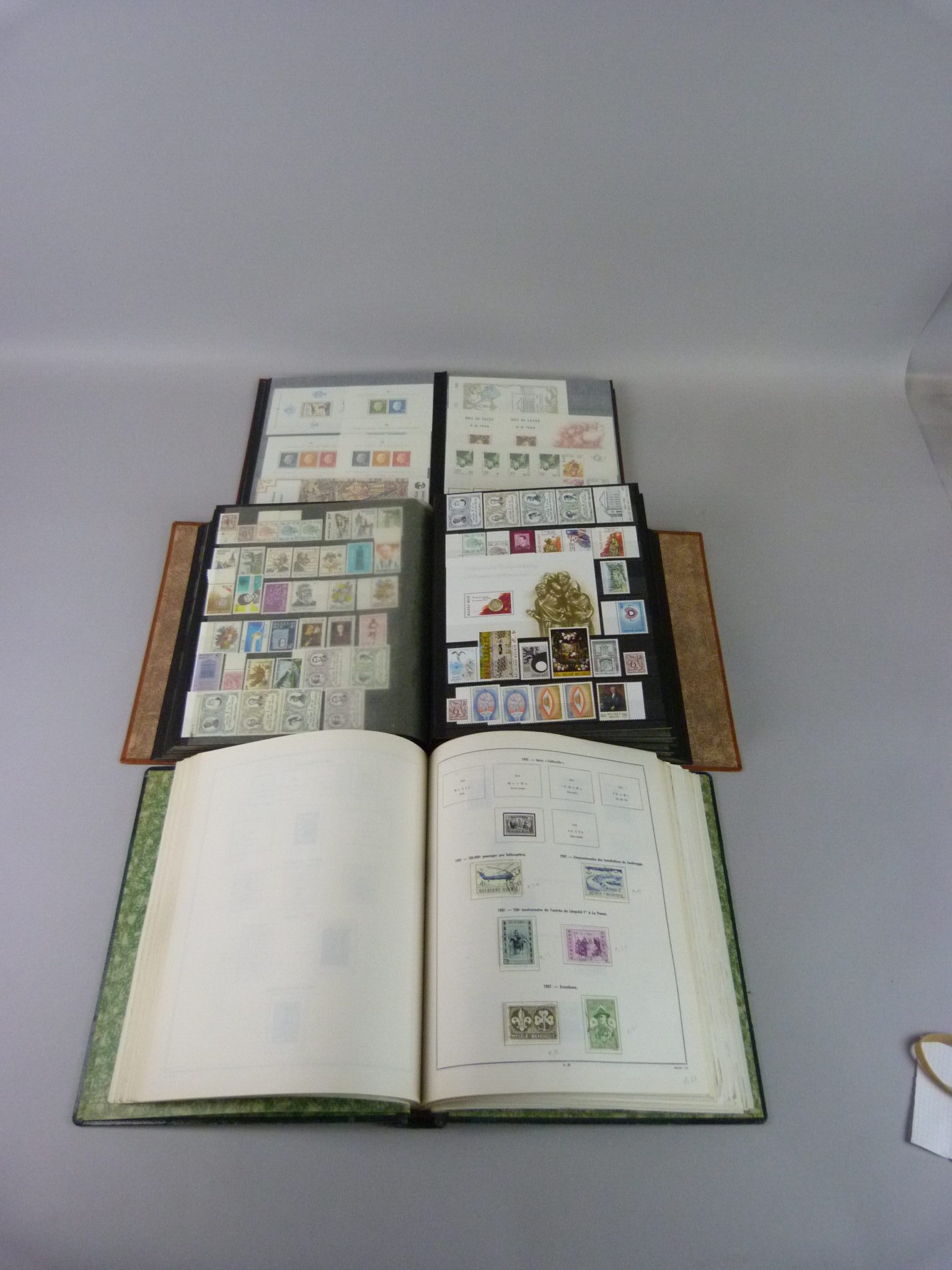 Lot 36